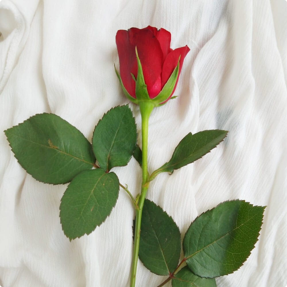 Custom Floral Designs - Image 2