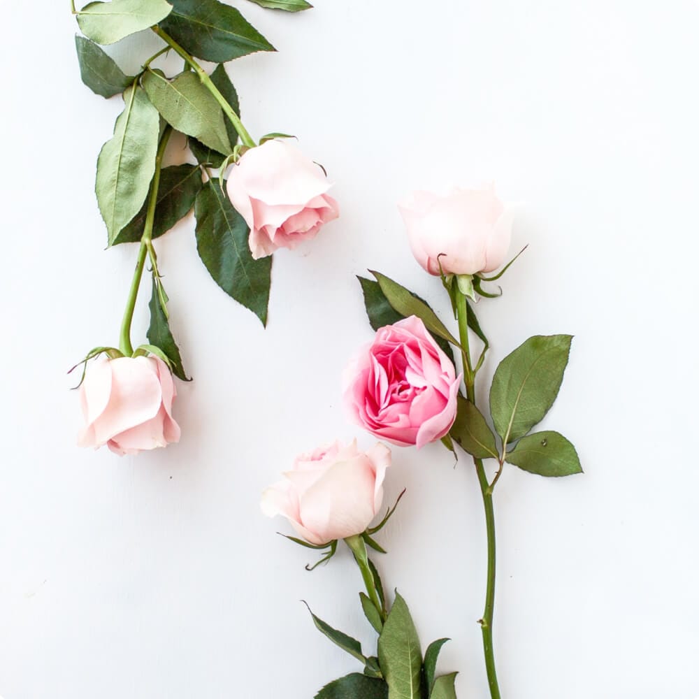 Custom Floral Designs - Image 4