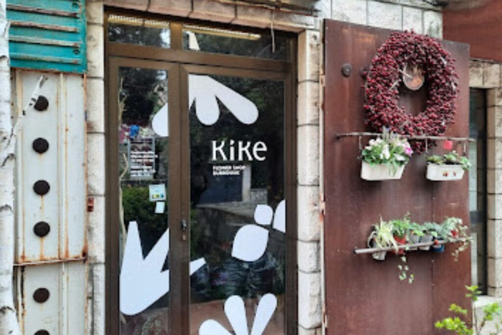 Cvijet By Kike Dubrovnik