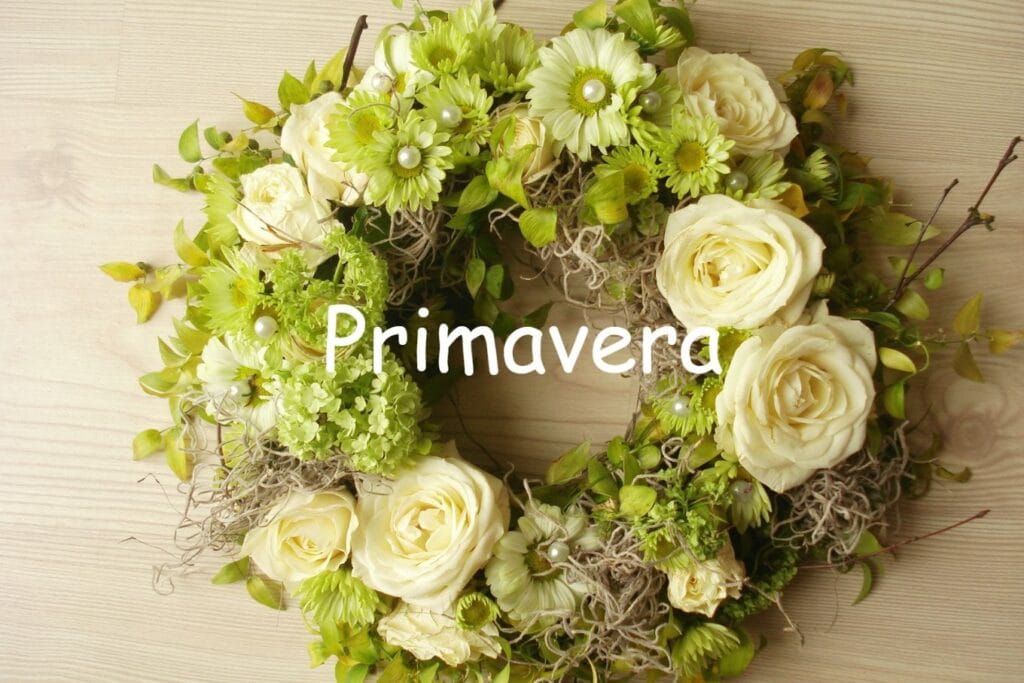 Cvjećarna Primavera Dubrovnik