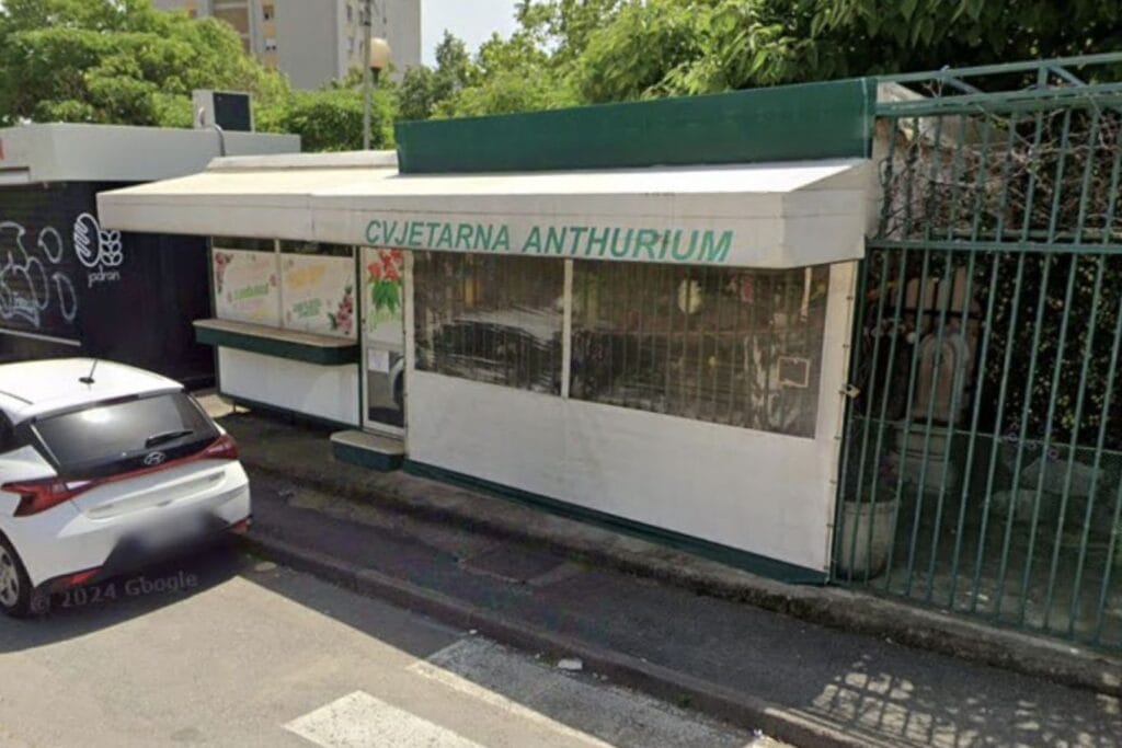 Cvjećarnica Anthurium Rijeka