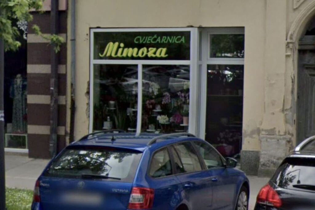 Cvjećarnica Mimoza Slavonski Brod