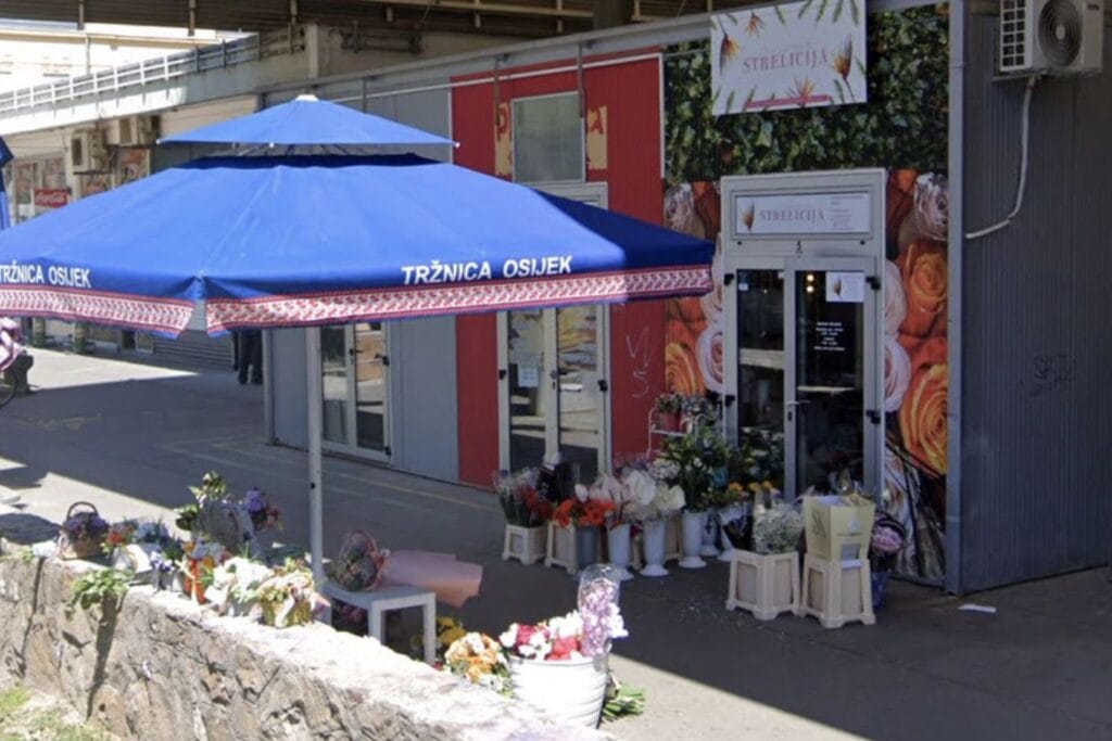 Cvjećarnica Strelicija Osijek