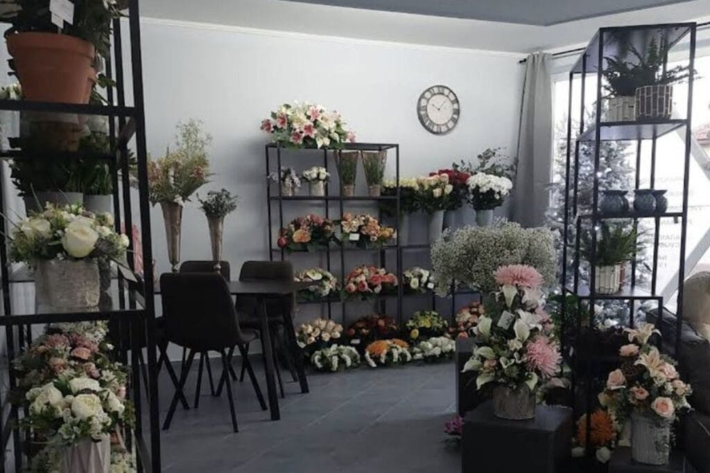 Viola Cvjetni Studio Beli Manastir