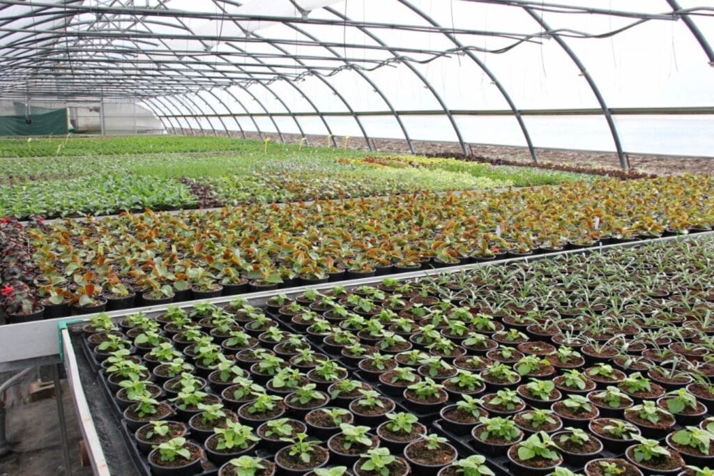 Vrtni Centar Flora Karlovac