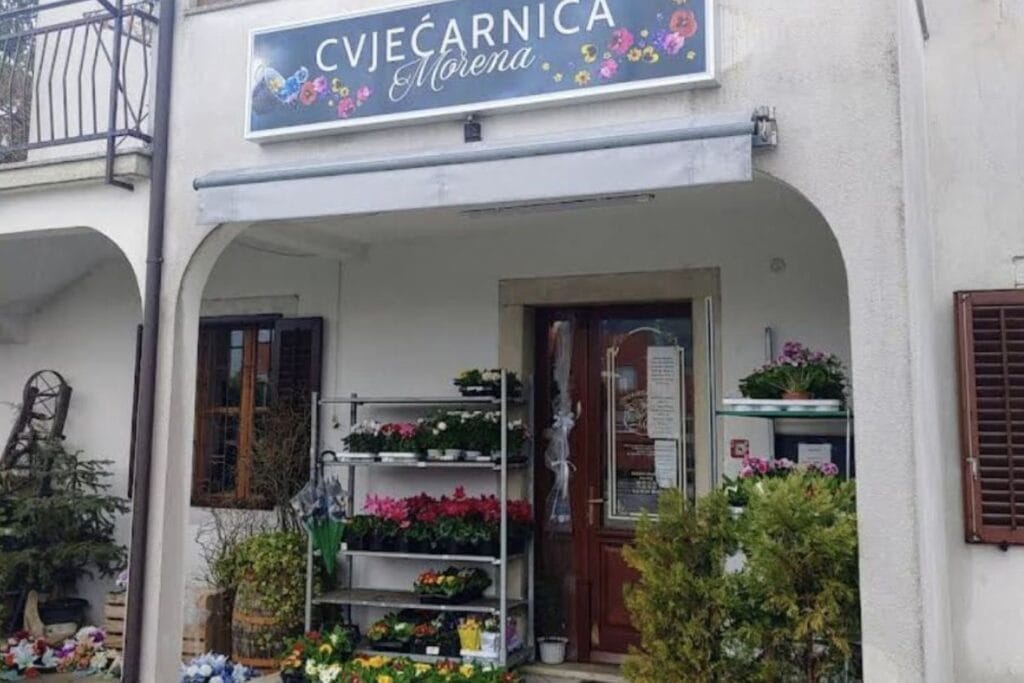 Cvjećarnica Morena buzet
