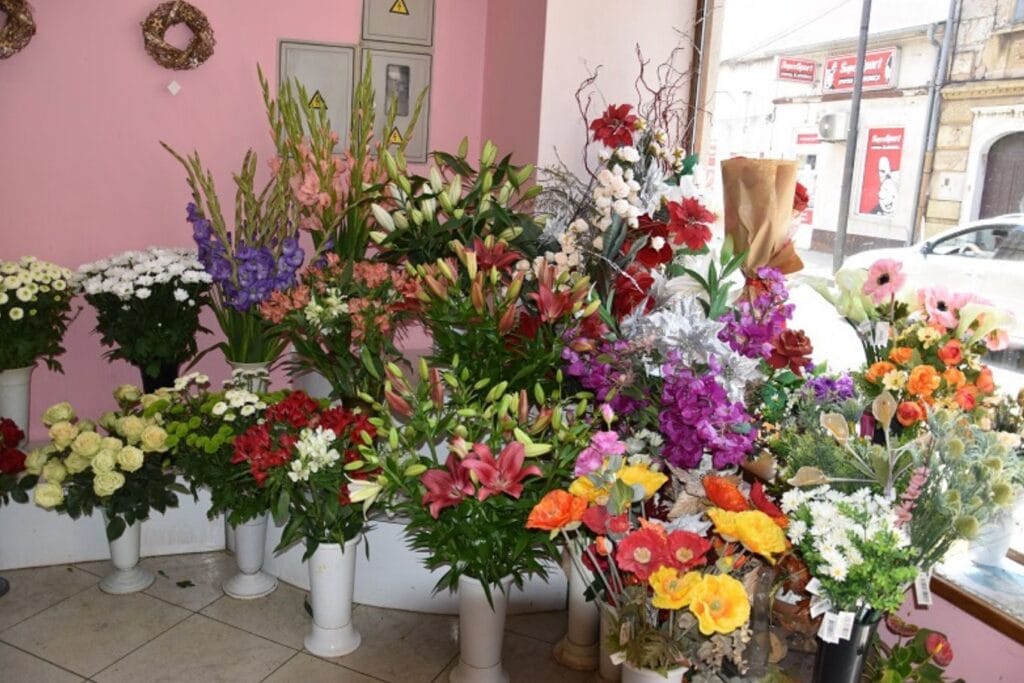 Cvjećarnica Salon prirode crikvenica