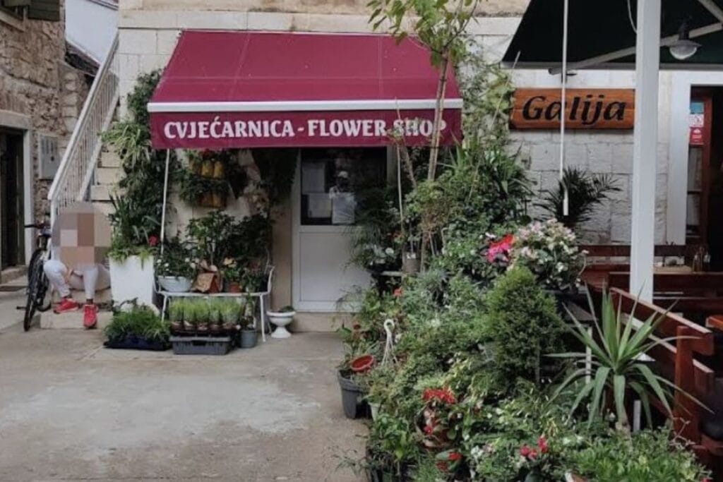 Flower Shop Stari Grad