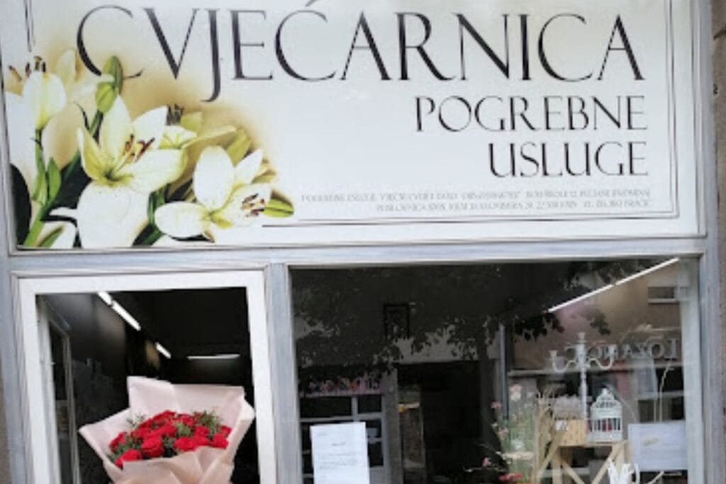 Vječni cvijet Knin